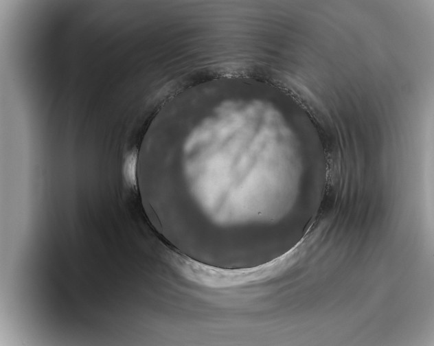 X0000095920047200801251038