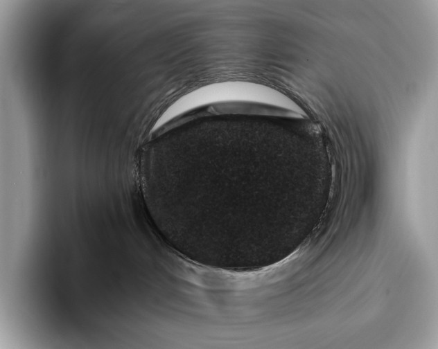 X0000095920048200801251038