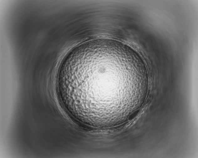 X0000095920049200801251038