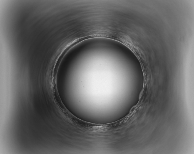 X0000095920050200801251038