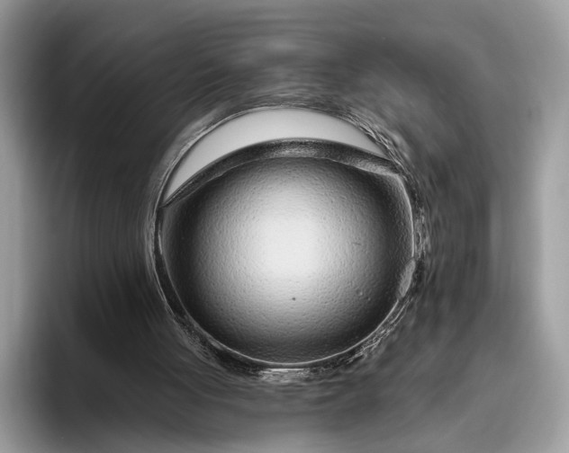 X0000095920051200801251038