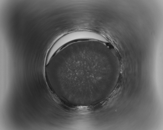 X0000095920052200801251038