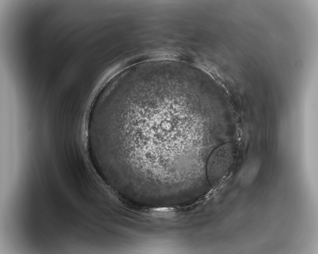 X0000095920053200801251038