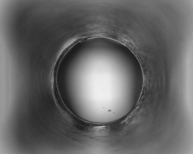 X0000095920054200801251038