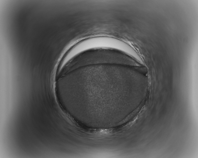 X0000095920056200801251038