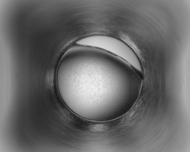 X0000095920058200801251038