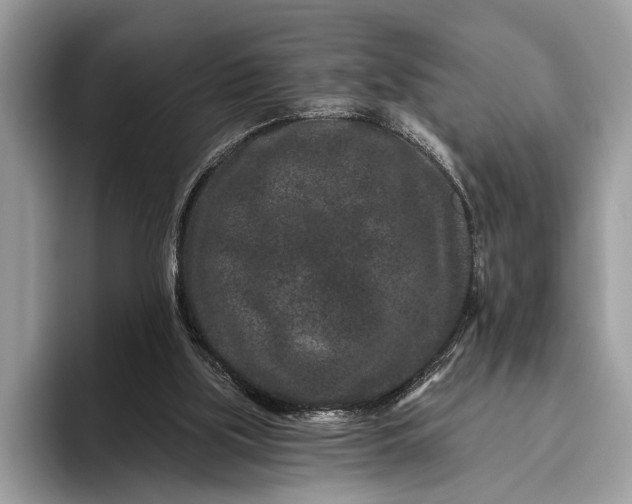 X0000095920059200801251038