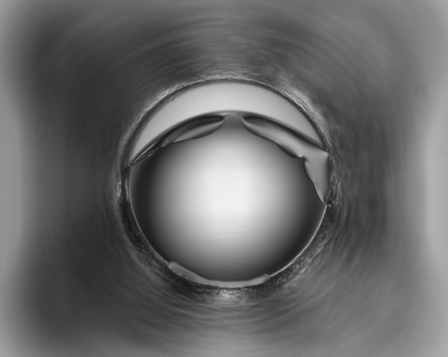 X0000095920060200801251038