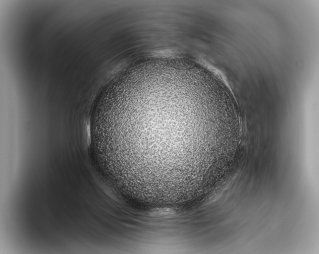 X0000095920061200801251038