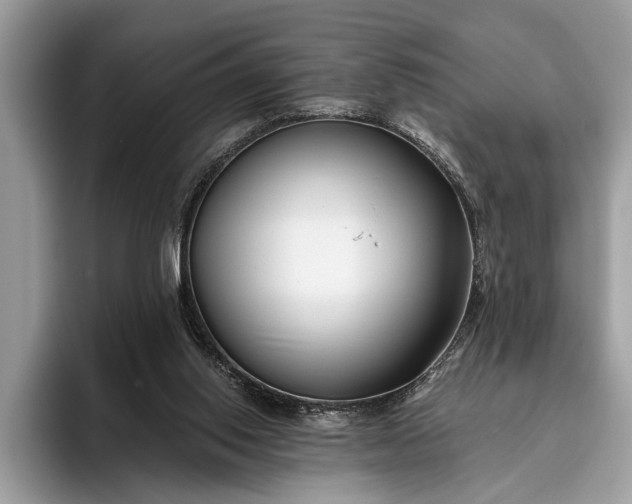 X0000095920062200801251038