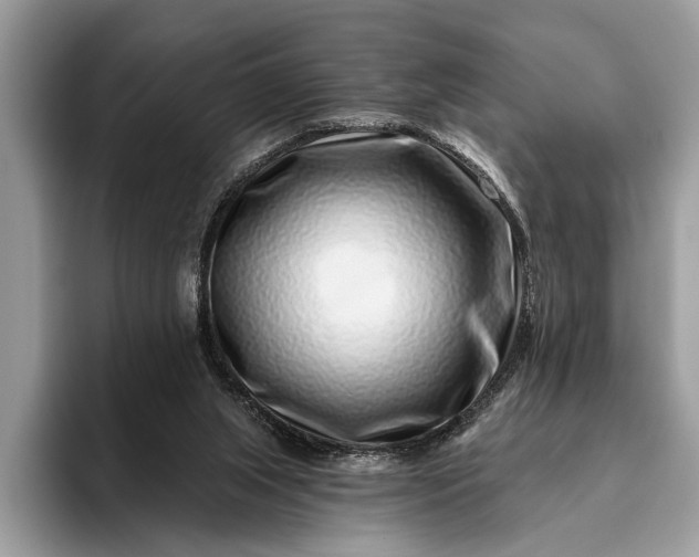 X0000095920063200801251038