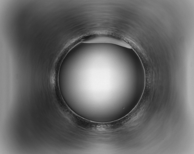 X0000095920064200801251038