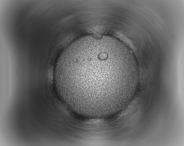 X0000095920065200801251038