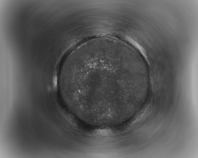 X0000095920067200801251038