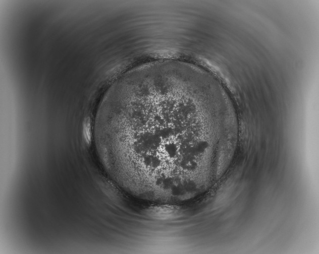 X0000095920069200801251038