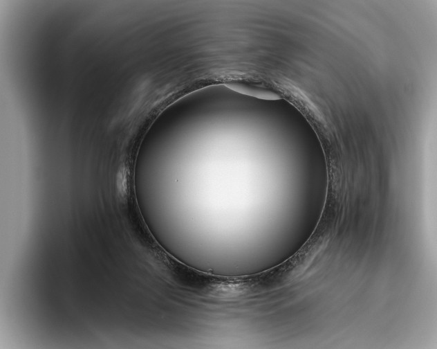 X0000095920071200801251038