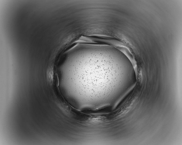 X0000095920072200801251038