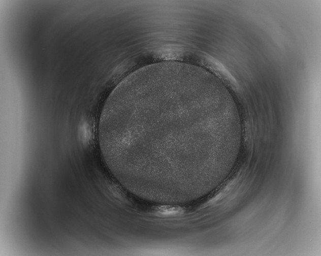 X0000095920073200801251038