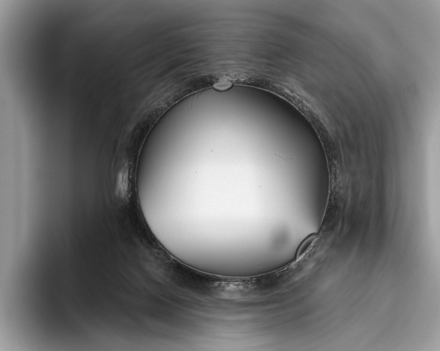 X0000095920074200801251038