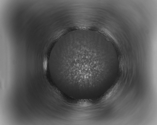 X0000095920076200801251038