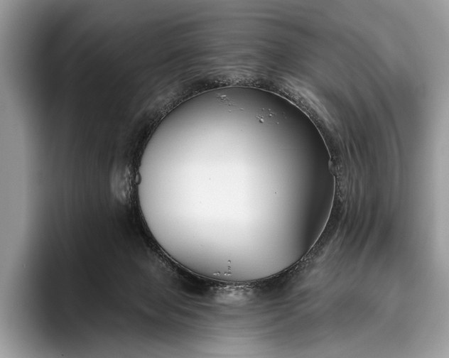 X0000095920077200801251038