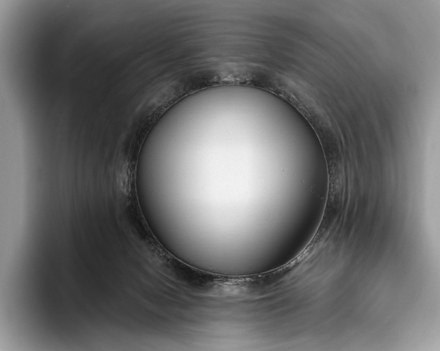 X0000095920078200801251038