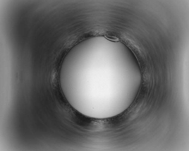 X0000095920079200801251038