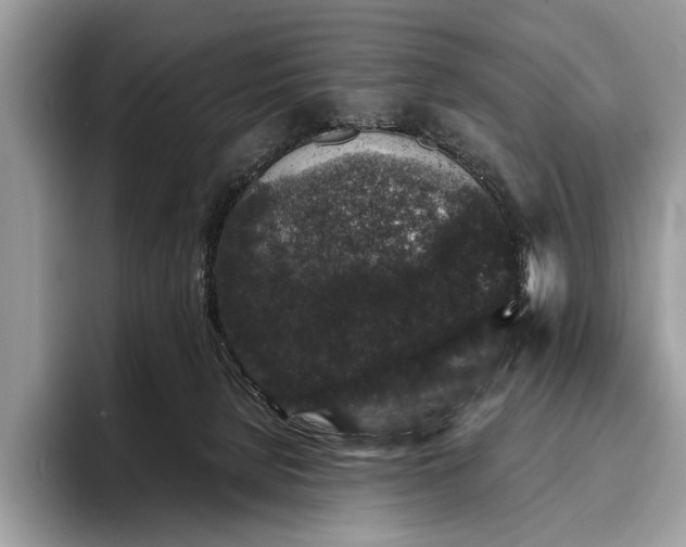 X0000095920080200801251038