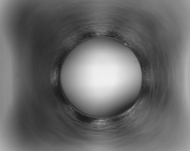 X0000095920082200801251038