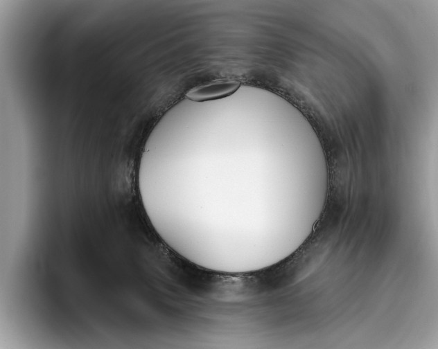 X0000095920083200801251038