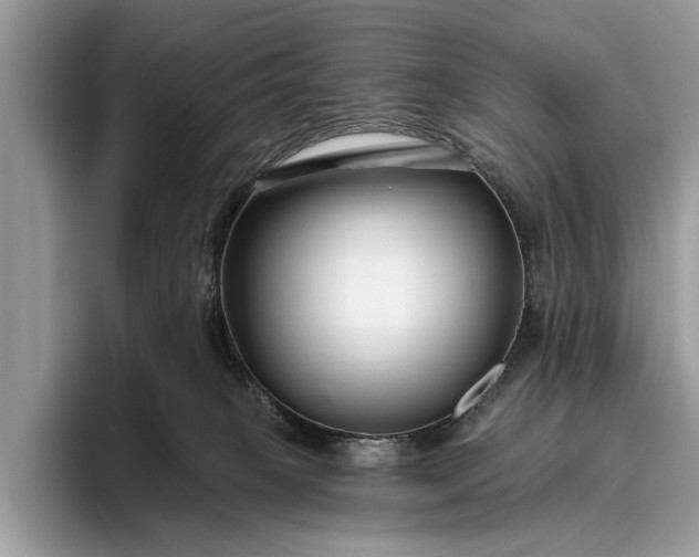 X0000095920085200801251038