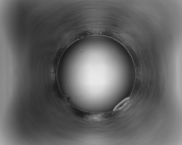 X0000095920086200801251038