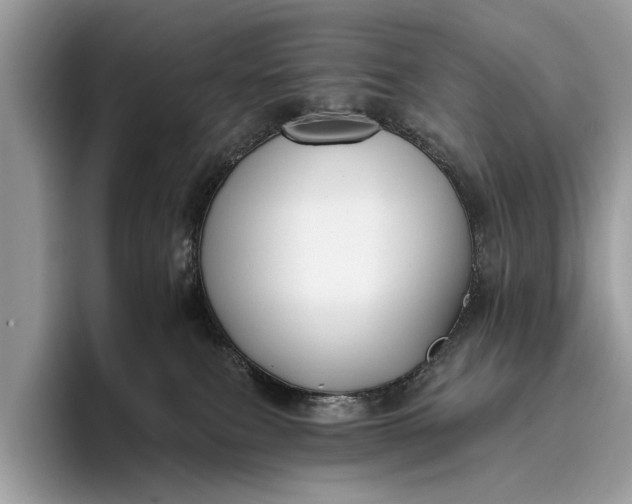 X0000095920087200801251038