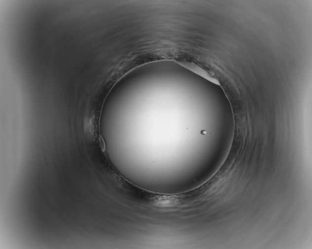 X0000095920088200801251038