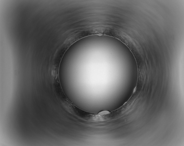 X0000095920091200801251038