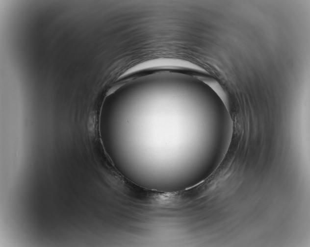 X0000095920092200801251038