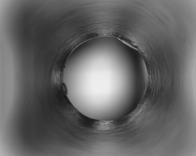 X0000095920093200801251038