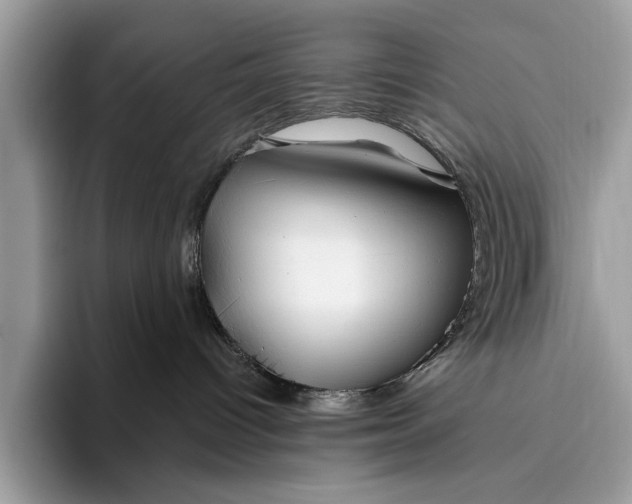 X0000095920096200801251038