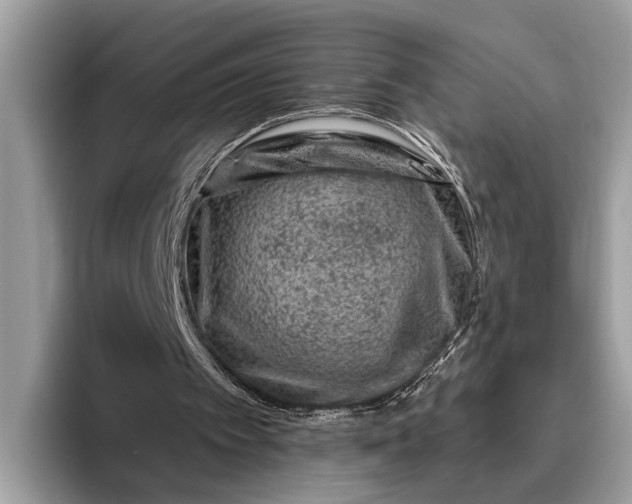 X0000095920097200801251038