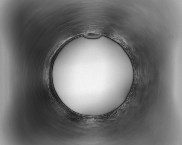 X0000095920098200801251038