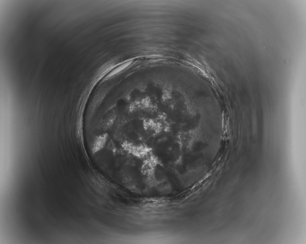 X0000095920099200801251038