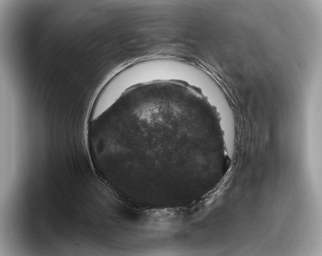 X0000095920100200801251038