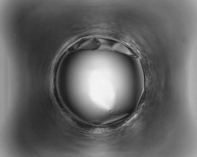 X0000095920101200801251038