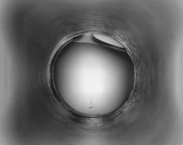 X0000095920102200801251038