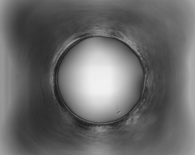 X0000095920103200801251038