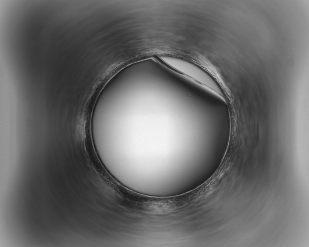 X0000095920106200801251038