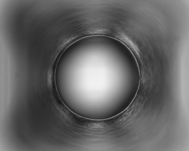 X0000095920107200801251038