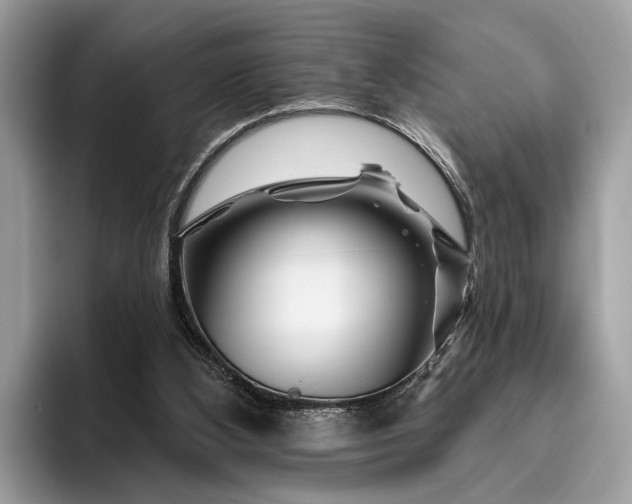 X0000095920108200801251038