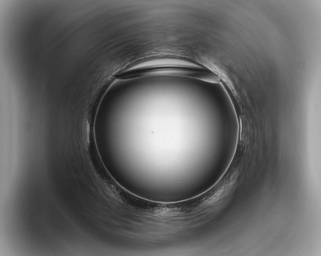 X0000095920109200801251038