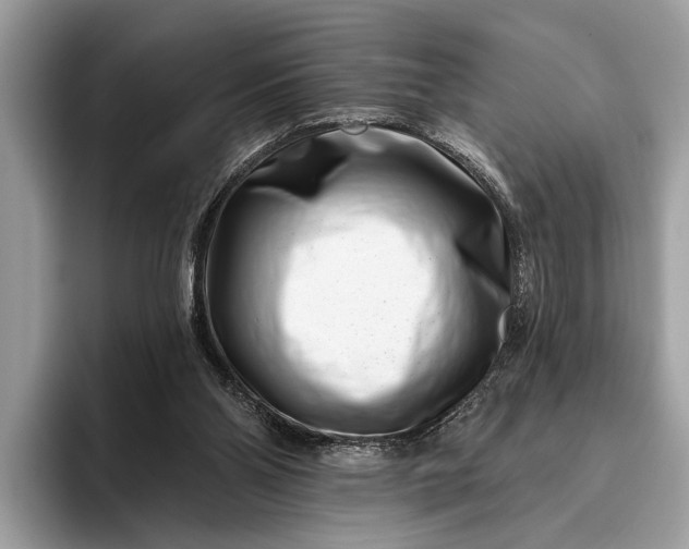 X0000095920110200801251038